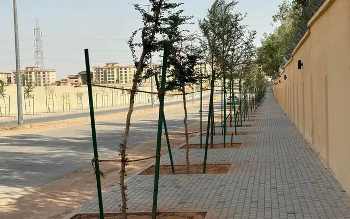 أشجار مزروعة حديثاً وأرصفة منفّذة على امتداد طريق